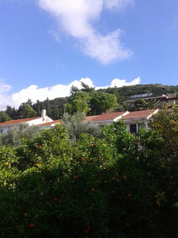 Aggelos Kefalonia Lassi